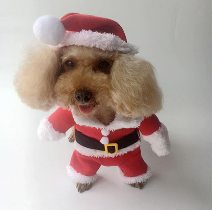 Santa Claus Turned Into A Cat And Dog Costume