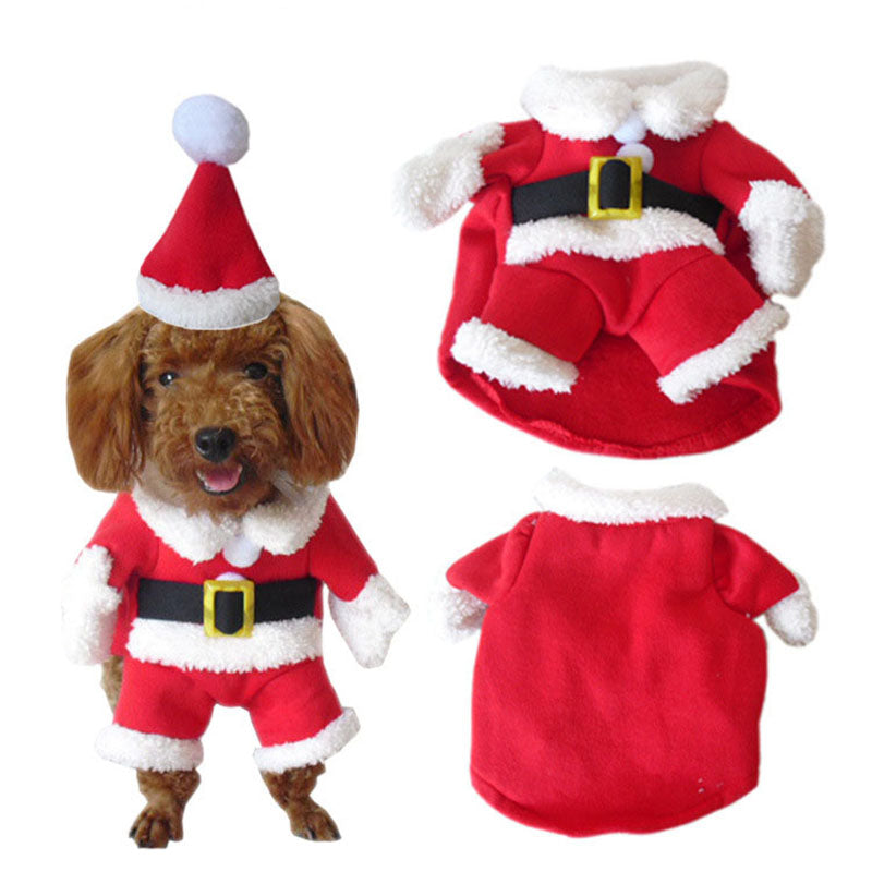 Santa Claus Turned Into A Cat And Dog Costume